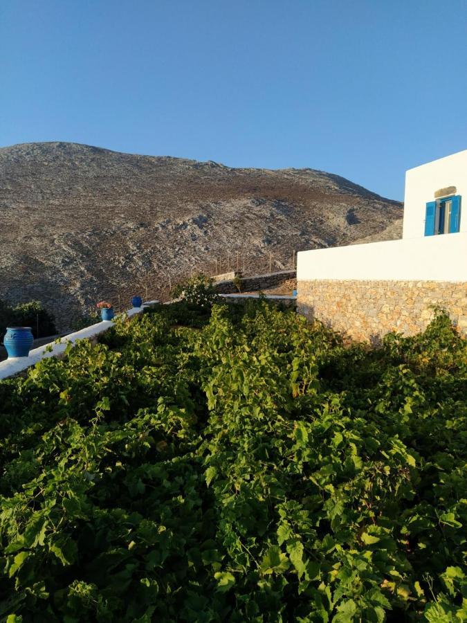 Cycladic Houses In Rural Surrounding Amorgos Extérieur photo