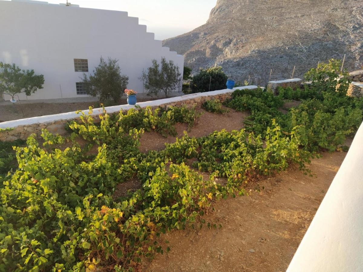 Cycladic Houses In Rural Surrounding Amorgos Extérieur photo